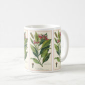 Kruiden Specerijen, Kruidnagels Plant Koffiemok (Voorkant rechts)