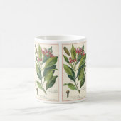 Kruiden Specerijen, Kruidnagels Plant Koffiemok (Center)