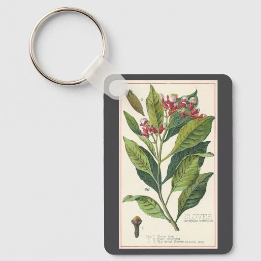 Kruiden Specerijen, Kruidnagels Plant Sleutelhanger (Voorkant)