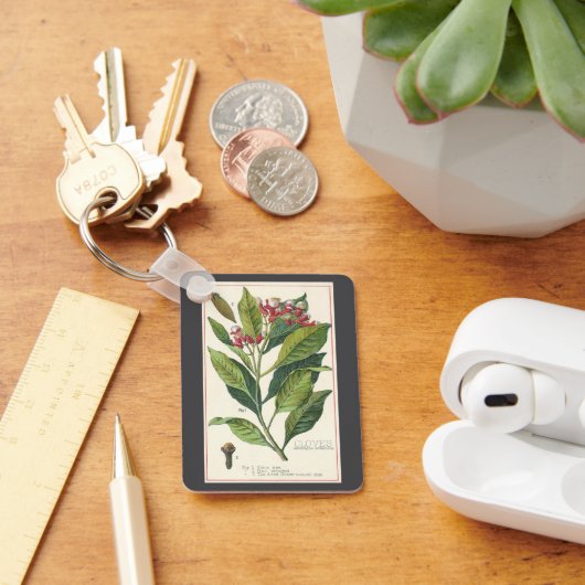 Kruiden Specerijen, Kruidnagels Plant Sleutelhanger (Bureau)