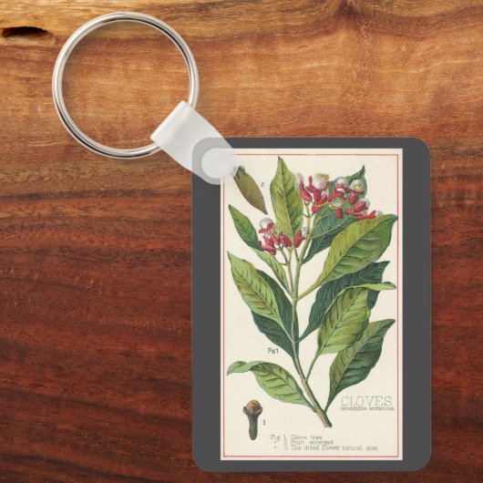 Kruiden Specerijen, Kruidnagels Plant Sleutelhanger (Voorkant)