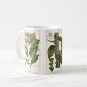 Kruiden Specerijen, kruidnagels, zwarte peper, noo Koffiemok (Voorkant links)