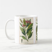 Kruiden Specerijen, kruidnagels, zwarte peper, noo Koffiemok (Links)