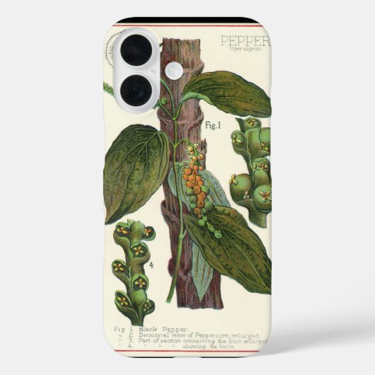 Kruiden Specerijen Oude Voeding, Zwarte Peper Plan Case-Mate iPhone Case (Achterkant)