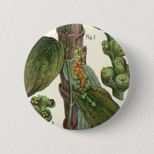 Kruiden Specerijen Oude Voeding, Zwarte Peper Plan Ronde Button 5,7 Cm