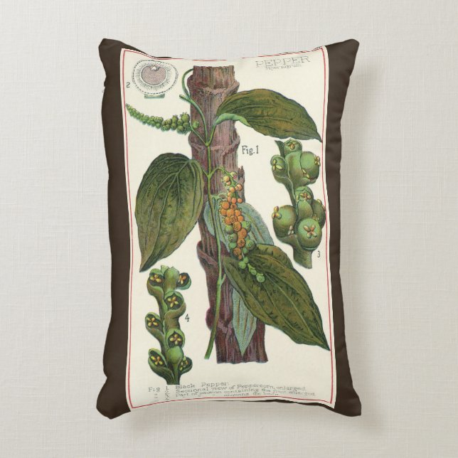  kruiden specerijen, zwart Plant Accent Kussen (Voorkant(Verticaal))