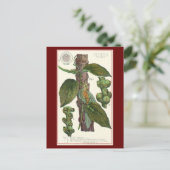  kruiden specerijen, zwart Plant Briefkaart (Staand voorkant)