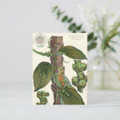  kruiden specerijen, zwart Plant Briefkaart (Staand voorkant)