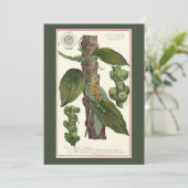  kruiden specerijen, zwart Plant Kaart (Staand voorkant)