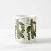  kruiden specerijen, zwart Plant Koffiemok (Center)