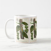  kruiden specerijen, zwart Plant Koffiemok (Links)