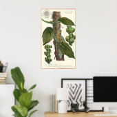 kruiden specerijen, zwart Plant Poster (Thuiskantoor)