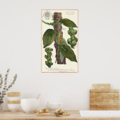 kruiden specerijen, zwart Plant Poster (Keuken)