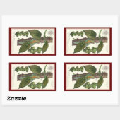 kruiden specerijen, zwart Plant Rechthoekige Sticker (Vel)