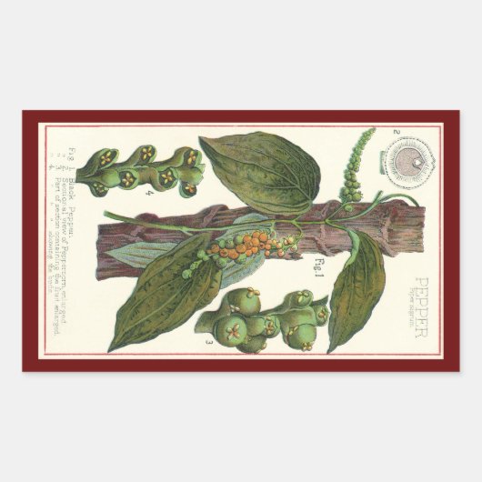 kruiden specerijen, zwart Plant Rechthoekige Sticker (Voorkant)