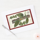 kruiden specerijen, zwart Plant Rechthoekige Sticker (Envelop)