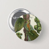  kruiden specerijen, zwart Plant Ronde Button 5,7 Cm (Voorkant /achterkant)