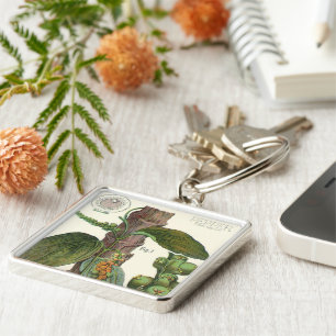  kruiden specerijen, zwart Plant Sleutelhanger