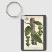  kruiden specerijen, zwart Plant Sleutelhanger (Voorkant)