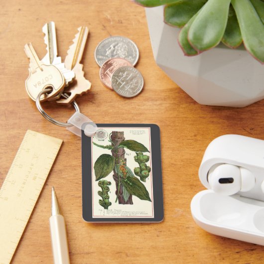  kruiden specerijen, zwart Plant Sleutelhanger (Bureau)