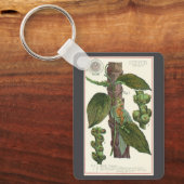  kruiden specerijen, zwart Plant Sleutelhanger (Voorkant)