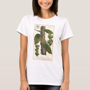 kruiden specerijen, zwart Plant T-shirt