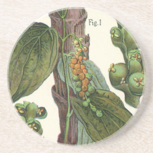 kruiden specerijen, zwart Plant Zandsteen Onderzetter