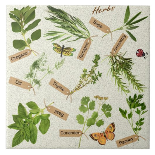 kruiden tegel tegeltje (Voorkant)