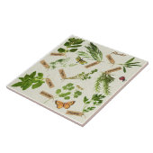 kruiden tegel tegeltje (Zijkant)