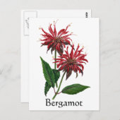 Kruiden Tuin Serie - Bergamot Briefkaart (Voorkant / Achterkant)