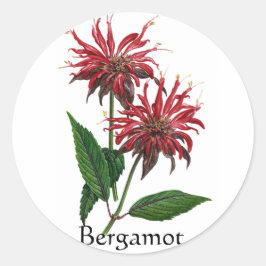Kruiden Tuin Serie - Bergamot Ronde Sticker