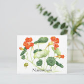 Kruiden Tuin Serie - Nasturtium Briefkaart (Staand voorkant)