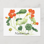 Kruiden Tuin Serie - Nasturtium Briefkaart (Voorkant)
