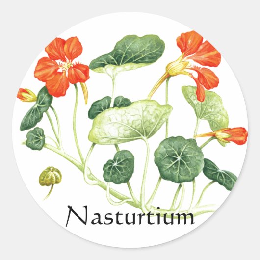 Kruiden Tuin Serie - Nasturtium Ronde Sticker (Voorkant)