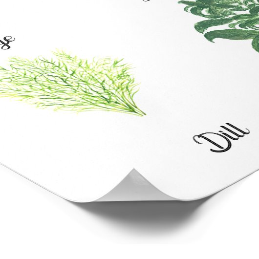 Kruiden Waterverf Salie tijm Rozemarijn Keuken Poster (Hoek)