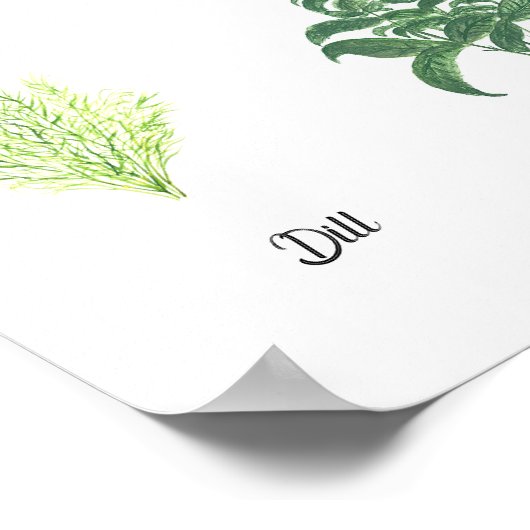 Kruiden Waterverf Salie tijm Rozemarijn Keuken Poster (Hoek)