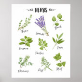Kruidenafdruk Herbs kunst Keukenkunst Keukendecor Poster (Voorkant)