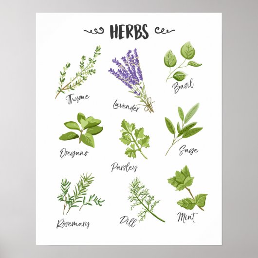 Kruidenafdruk Herbs kunst Keukenkunst Keukendecor Poster (Voorkant)