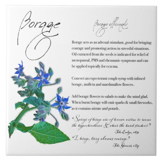 Kruidenapotheek: borage | Keramische Tegel Tegeltje (Voorkant)