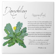 Kruidenapotheek: Dandelion | Keramische Tegel