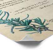 Kruidenapotheek: lavender | Botanisch Poster (Hoek)