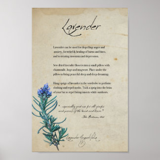 Kruidenapotheek: lavender | Botanisch Poster