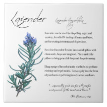 Kruidenapotheek: lavender | Keramische Tegel