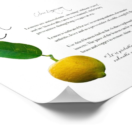 Kruidenapotheek: Lemon | Poster waardepapier (Hoek)