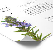 Kruidenapotheek: Rosemary | Botanisch Poster (Hoek)