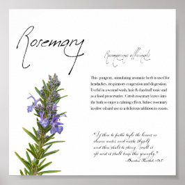 Kruidenapotheek: Rosemary | Botanisch Poster