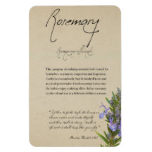 Kruidenapotheek: Rosemary | Magneet