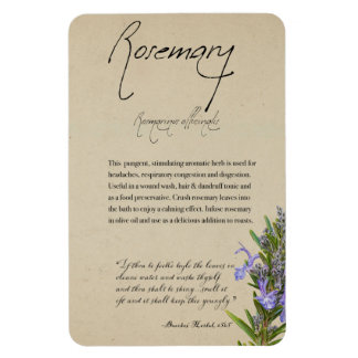 Kruidenapotheek: Rosemary | Magneet