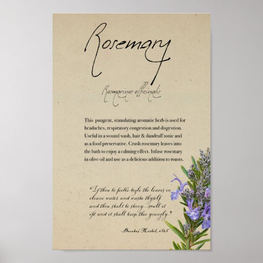 Kruidenapotheek: Rosemary | Tall-Poster Poster (Voorkant)