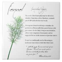 Kruidenapotheek: venkel | Keramische Tegel